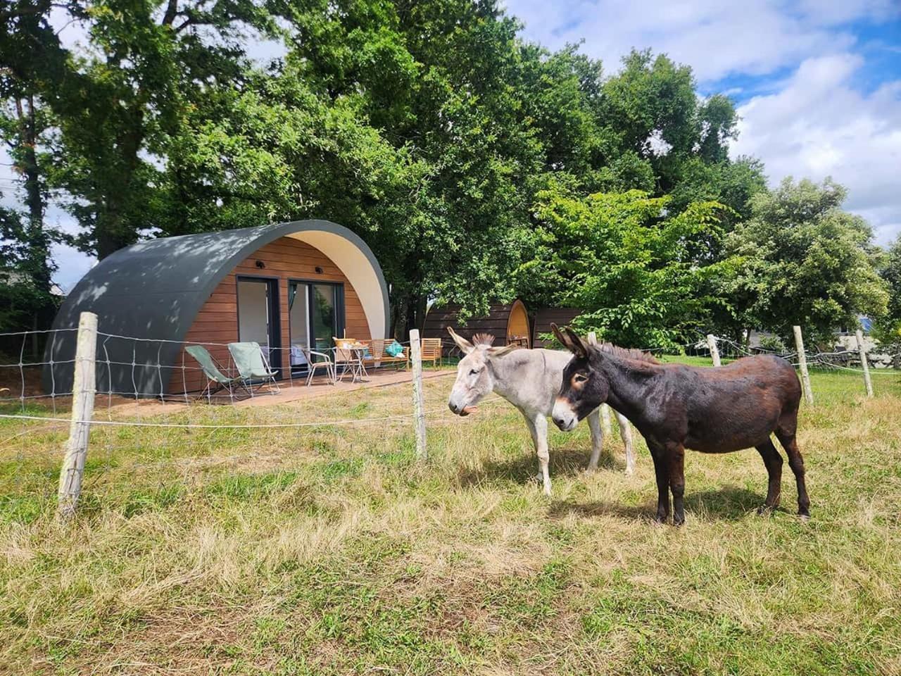 Gites & Tiny Houses Les Hauts De Toulvern Baden Cameră foto