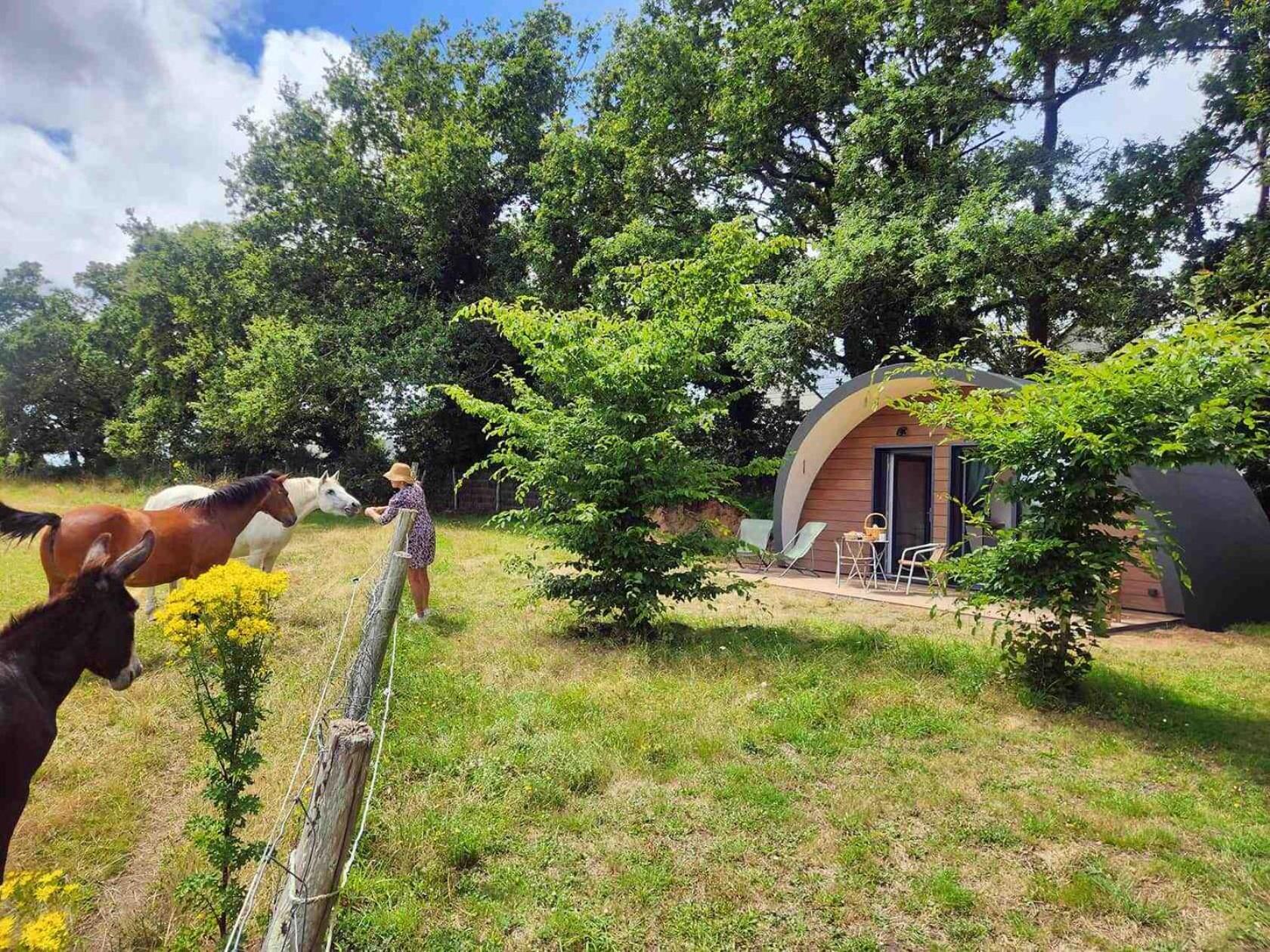 Gites & Tiny Houses Les Hauts De Toulvern Baden Cameră foto