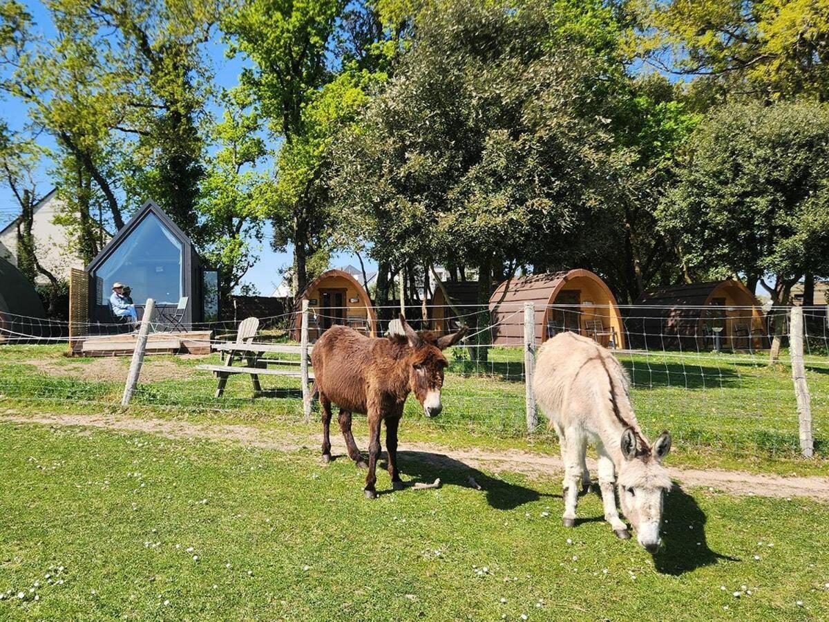 Gites & Tiny Houses Les Hauts De Toulvern Baden Cameră foto